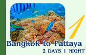 Bangkok to Pattaya 2 Days 1 Night