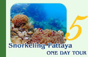 Snorkeling Pattaya (From Bangkok)